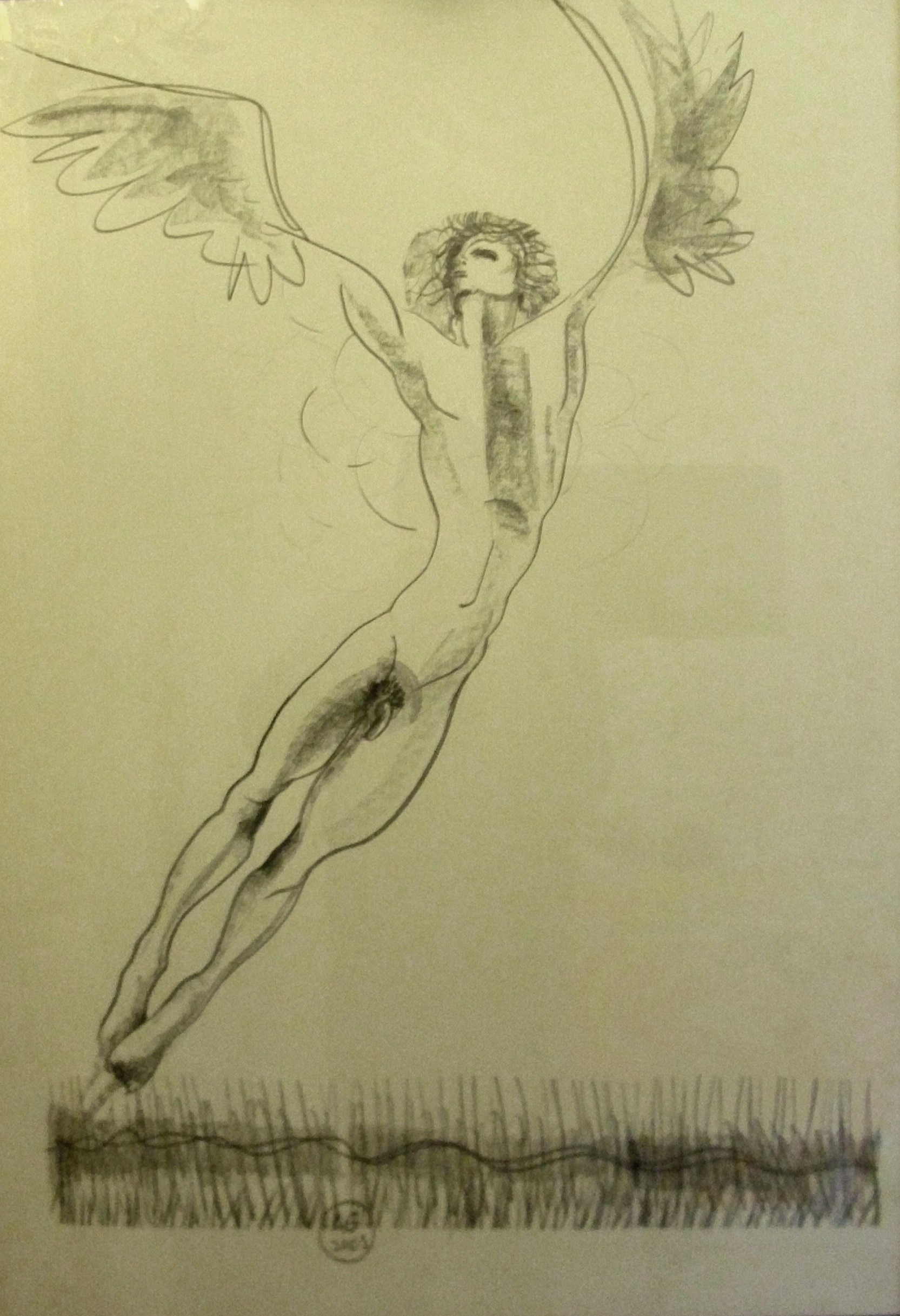 Narciso