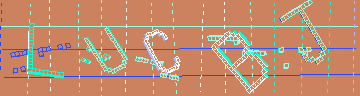 Codice di conferma