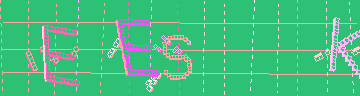 Codice di conferma